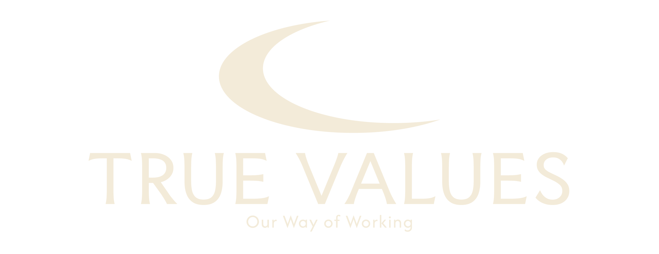 TRUE Values Logo Bunker